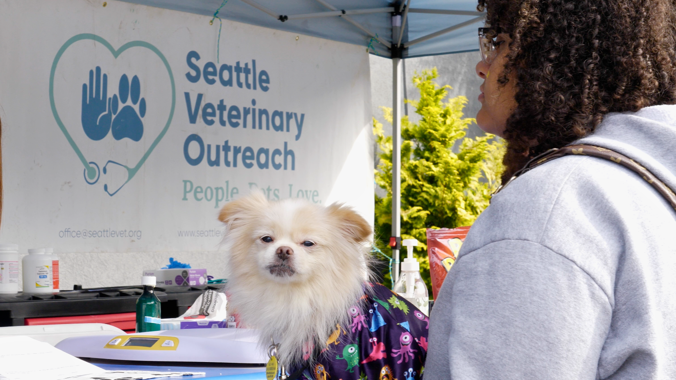 Seattle Veterinary Outreach