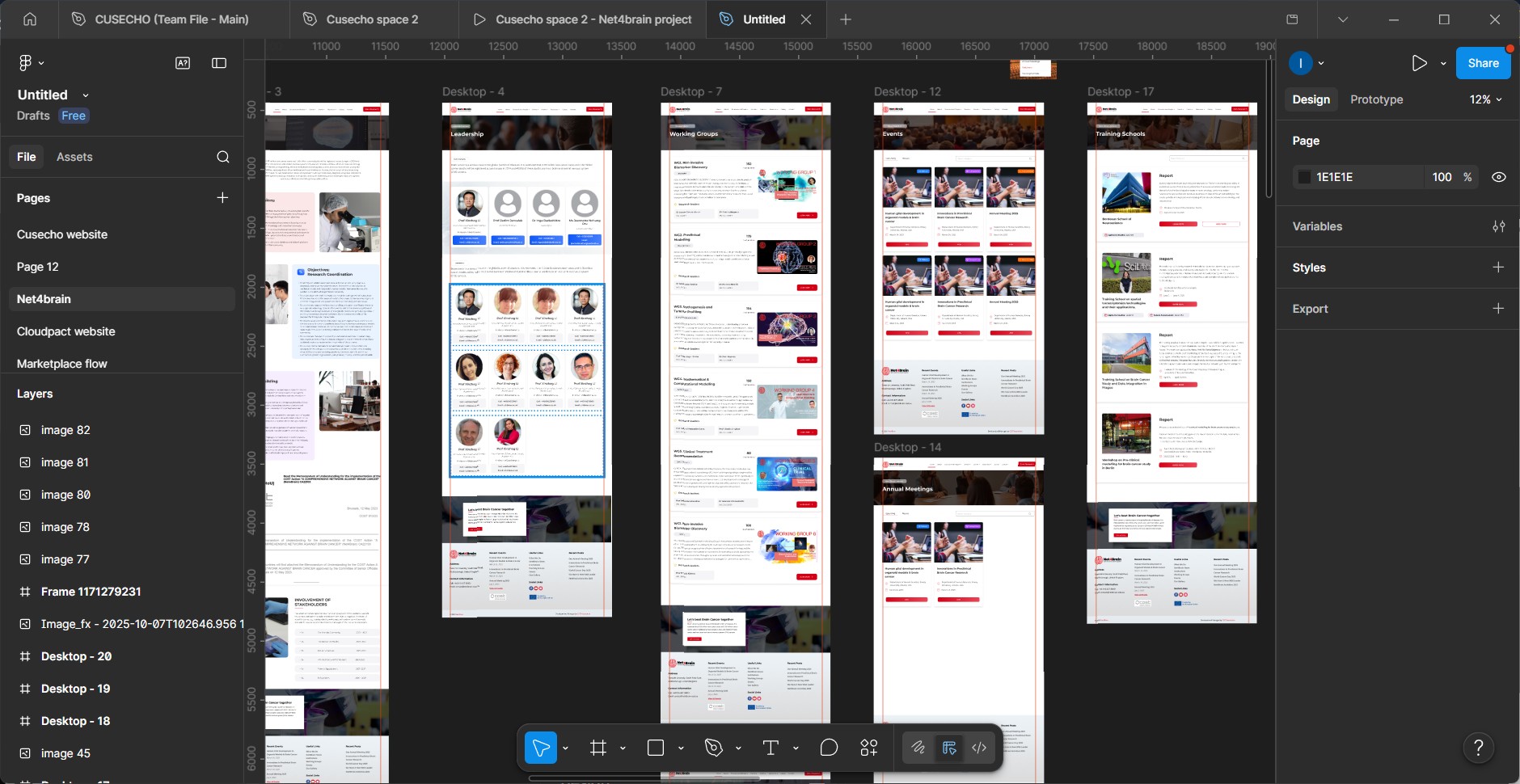 Net4brain web redesign