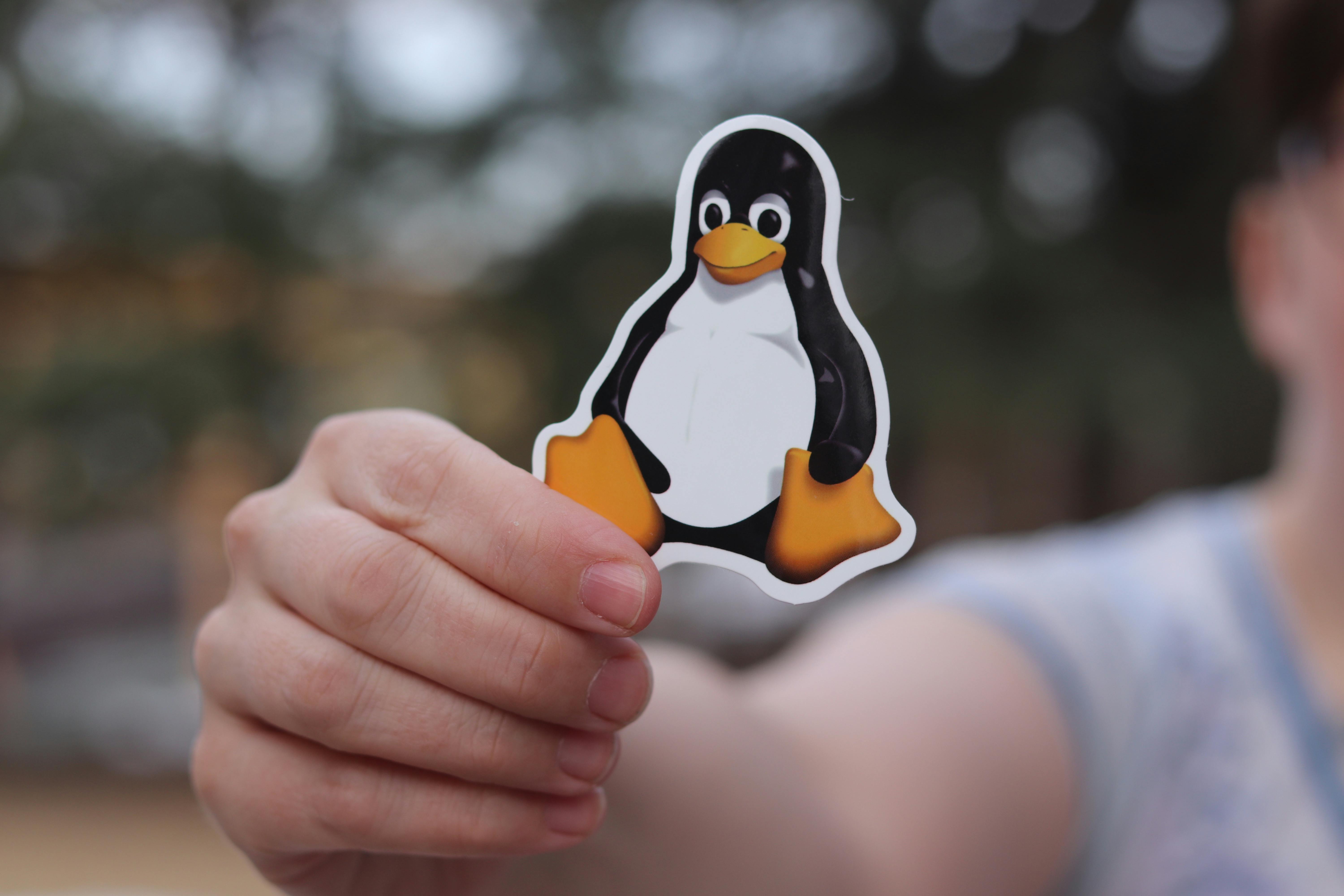Automated Server Provisioning & Secure Container Deployment with Bash