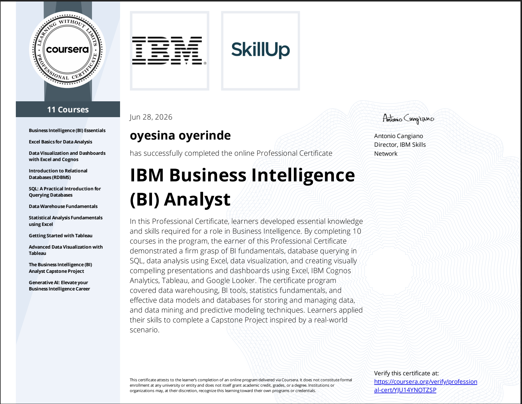 IBM Business Intelligence Analyst